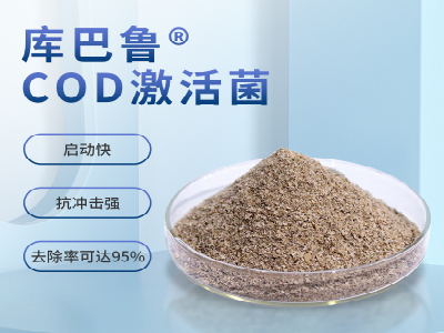 COD提標，不改變工藝，生化系統如何維穩